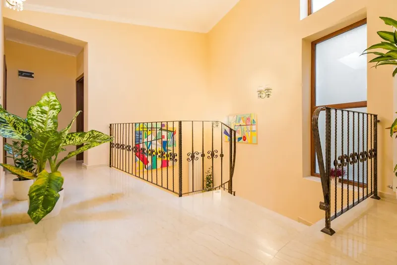 Palierul de la etaj, cu o plantă și balustrada scării